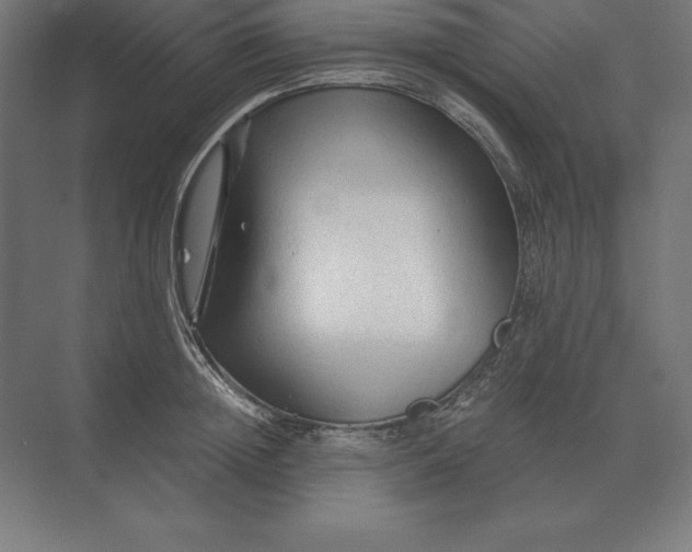 X0000073980852200609111806