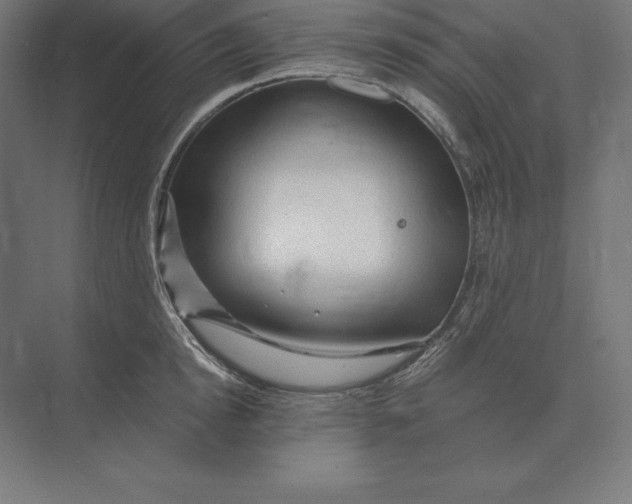 X0000073980854200609111806