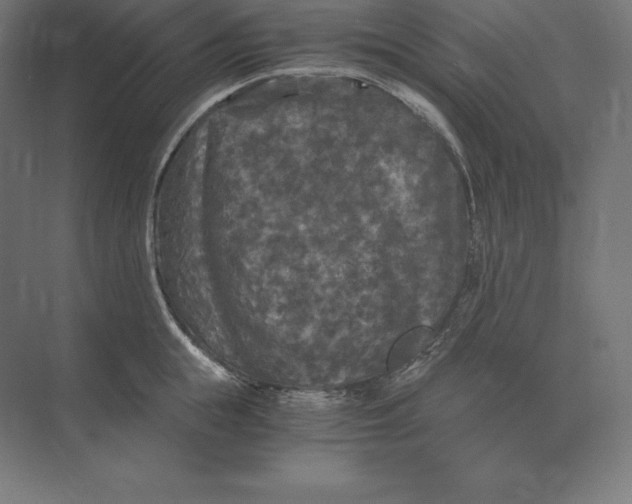 X0000073980855200609111806