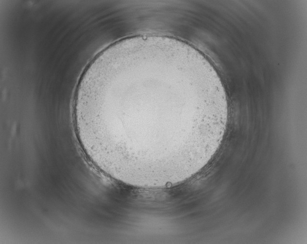 X0000073980856200609111806