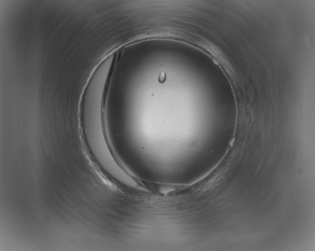 X0000073980858200609111806