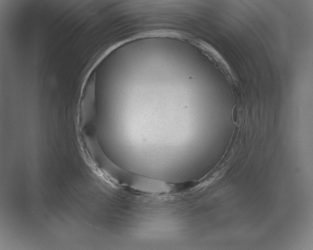 X0000073980860200609111806