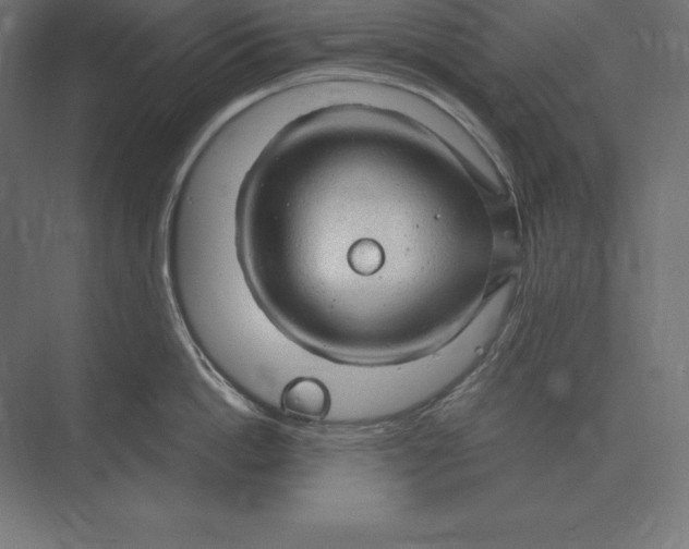 X0000073980862200609111806