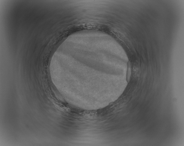 X0000073980865200609111805