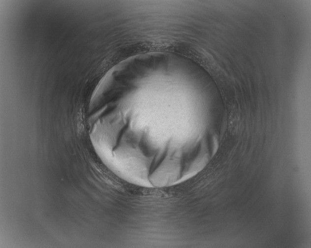 X0000073980866200609111805