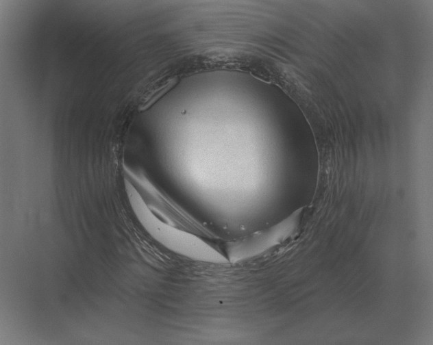 X0000073980868200609111805