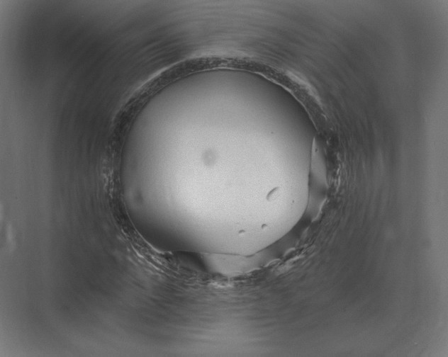 X0000073980872200609111805