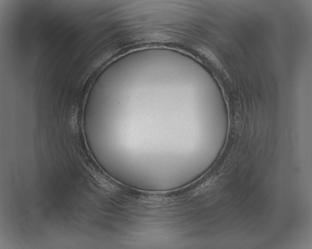 X0000073980873200609111805