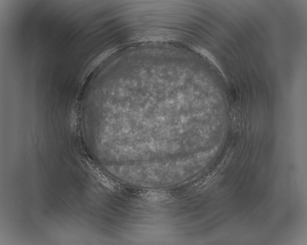 X0000073980874200609111805