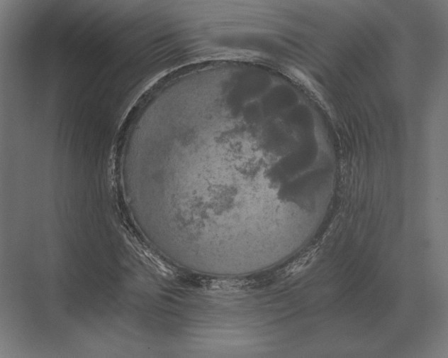 X0000073980875200609111805