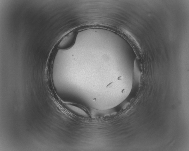 X0000073980876200609111805