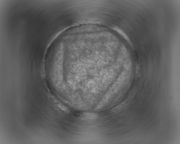 X0000073980878200609111805