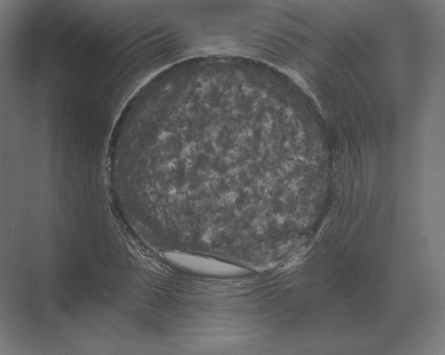 X0000073980879200609111805