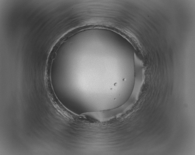 X0000073980880200609111805