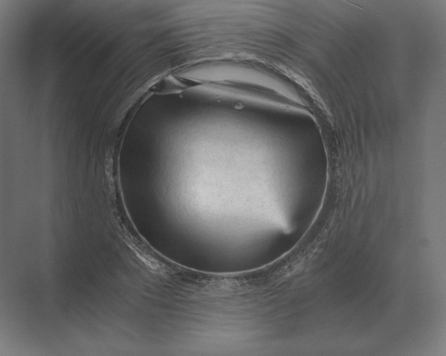 X0000073980881200609111805