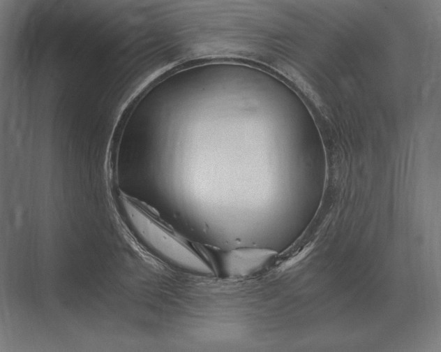 X0000073980885200609111805