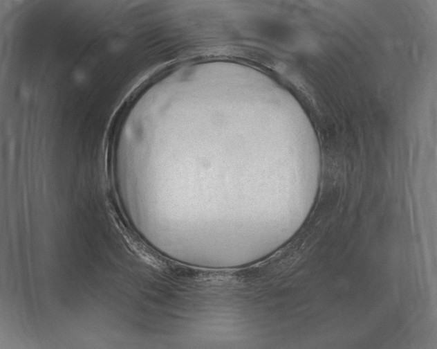 X0000073980886200609111805