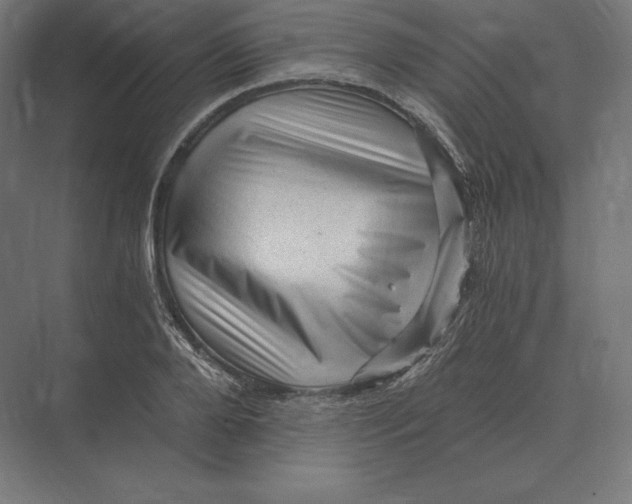 X0000073980888200609111805