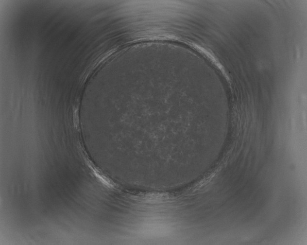 X0000073980889200609111805