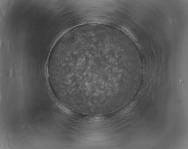 X0000073980891200609111805