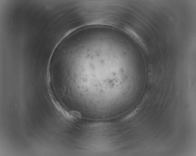 X0000073980892200609111805