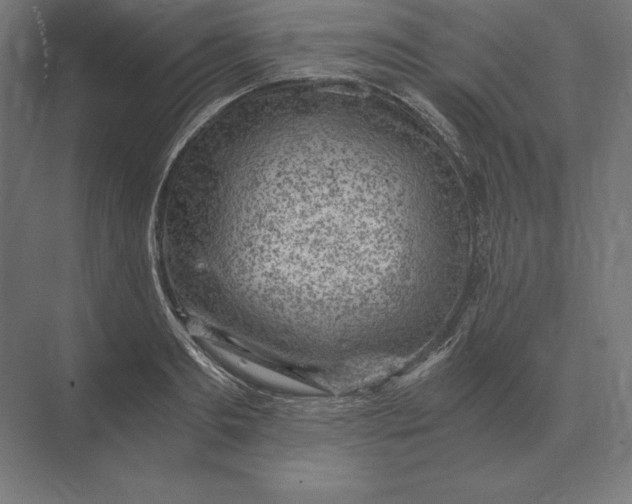 X0000073980893200609111805