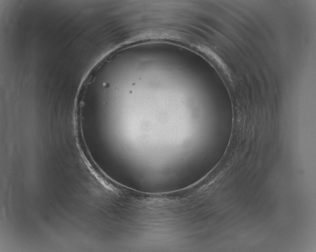 X0000073980894200609111805