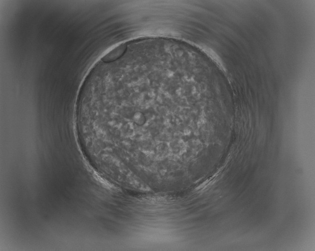 X0000073980895200609111805