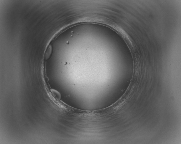 X0000073980896200609111805