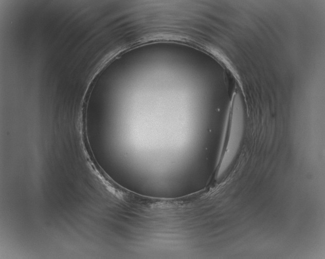 X0000073980898200609111805