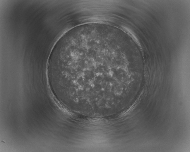 X0000073980899200609111805