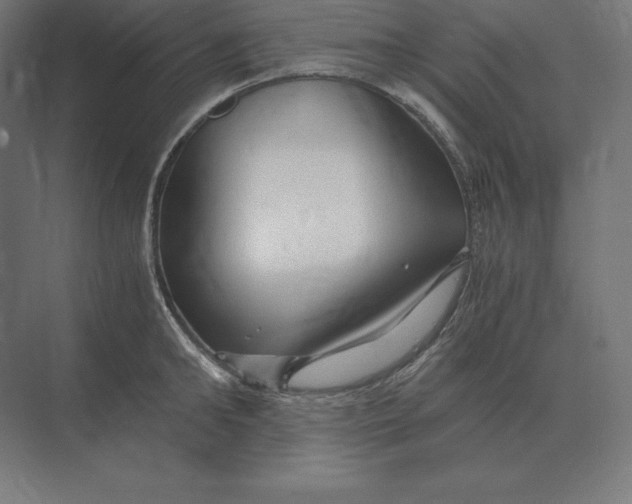 X0000073980902200609111805