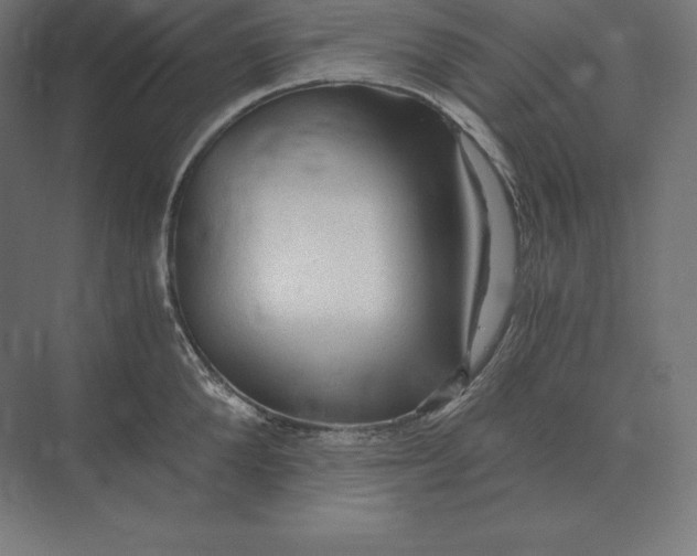 X0000073980904200609111805