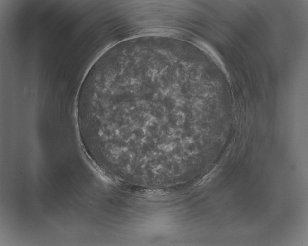 X0000073980907200609111804