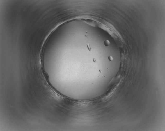 X0000073980908200609111804