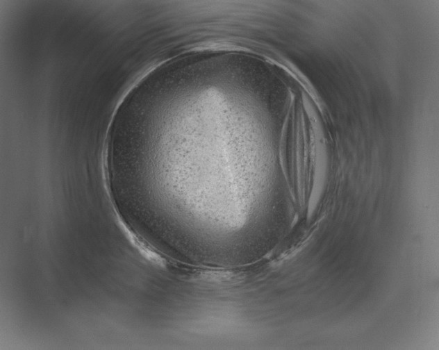 X0000073980909200609111804