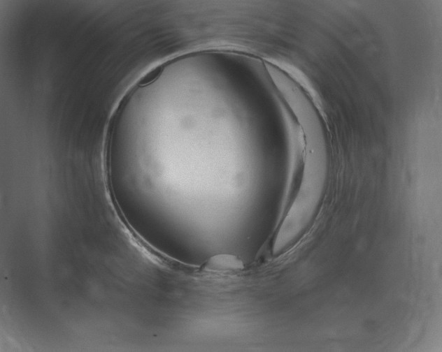 X0000073980910200609111804