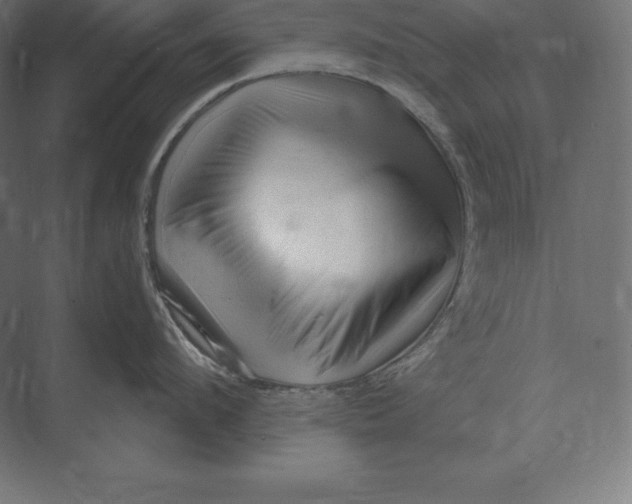 X0000073980912200609111804