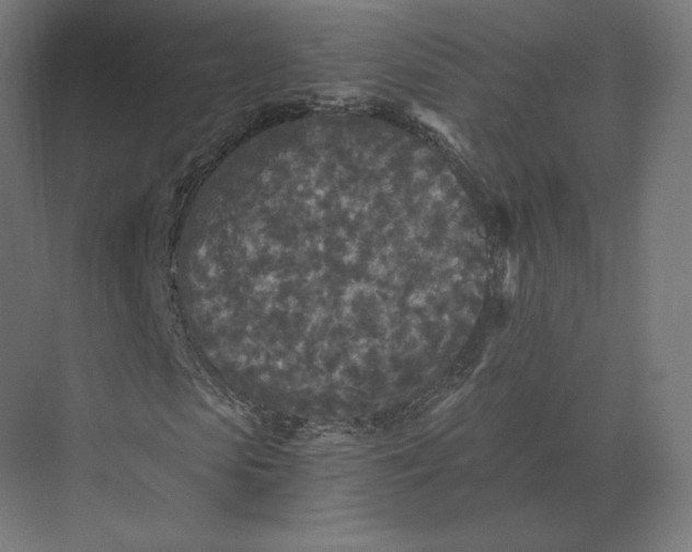 X0000073980913200609111804