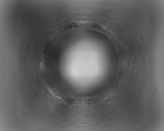 X0000073980914200609111804