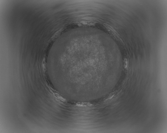 X0000073980915200609111804