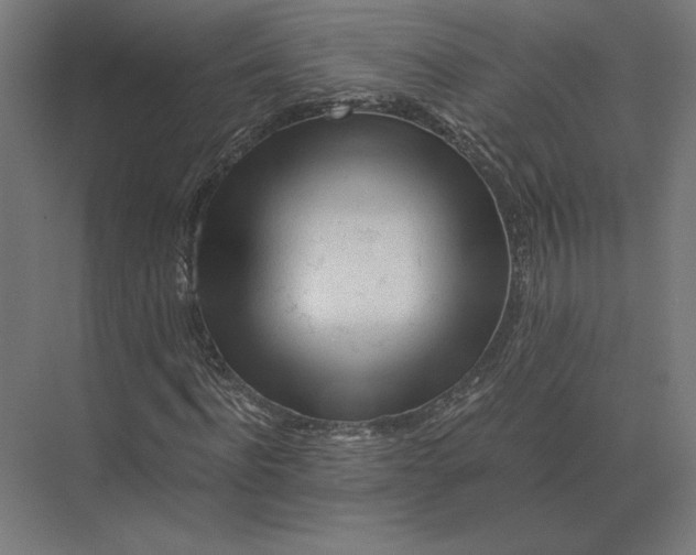 X0000073980916200609111804