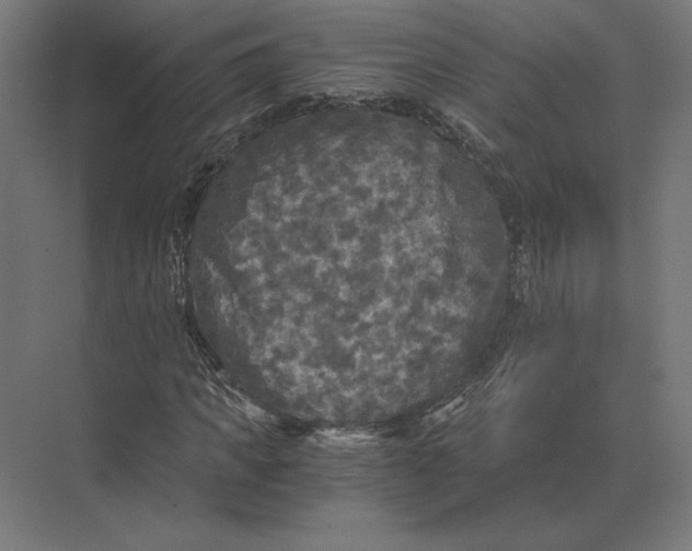 X0000073980917200609111804