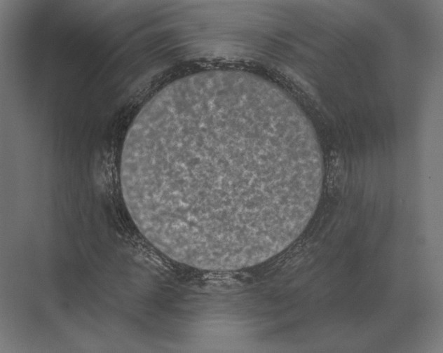 X0000073980918200609111804