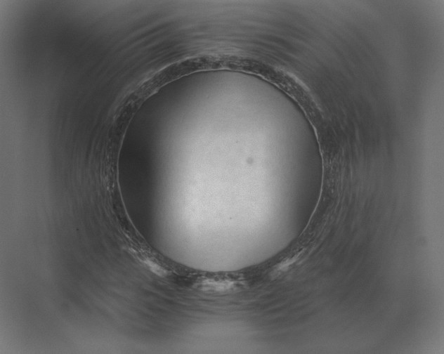 X0000073980919200609111804