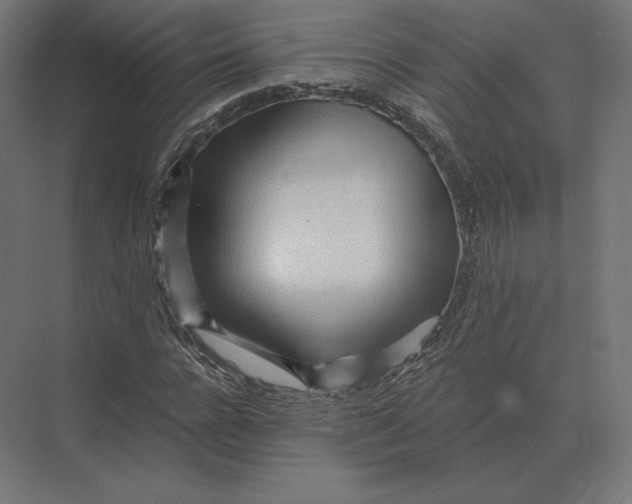 X0000073980920200609111804