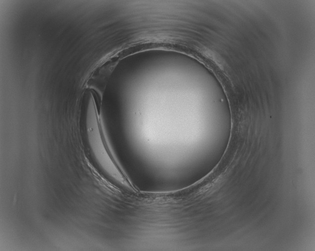 X0000073980922200609111804