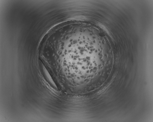 X0000073980923200609111804