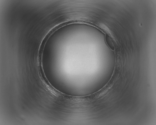 X0000073980924200609111804