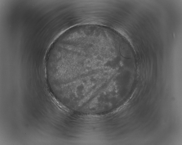 X0000073980925200609111804